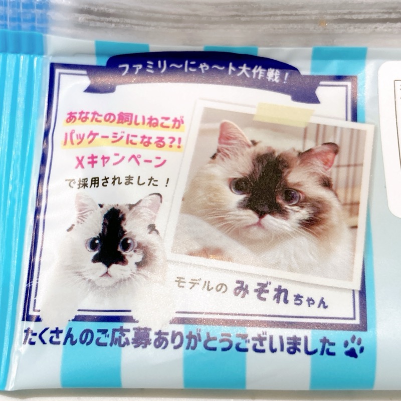 にゃんともおいしいチーズケーキ塩バニラ