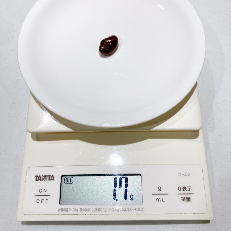 ファミマ《ラムレーズンチョコ》