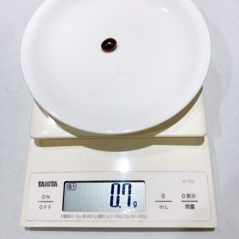 ファミマ《ラムレーズンチョコ》