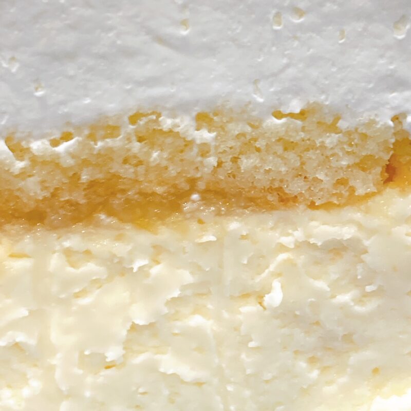 いぬぬバスクチーズケーキ