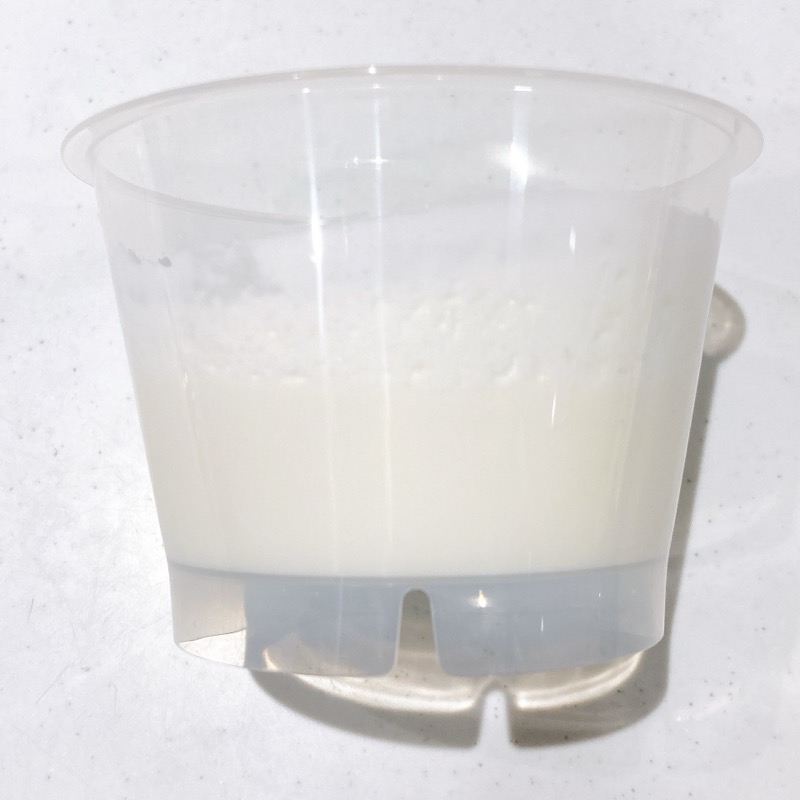 フェルメール牛乳を注ぐ女の純白プリン